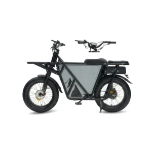 GT53 Dual Motor Electric Bike