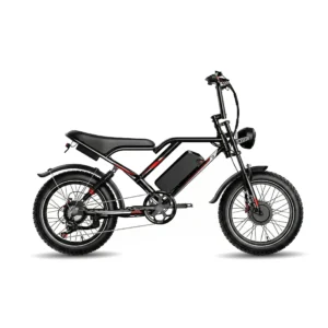 S8 Electric Bike